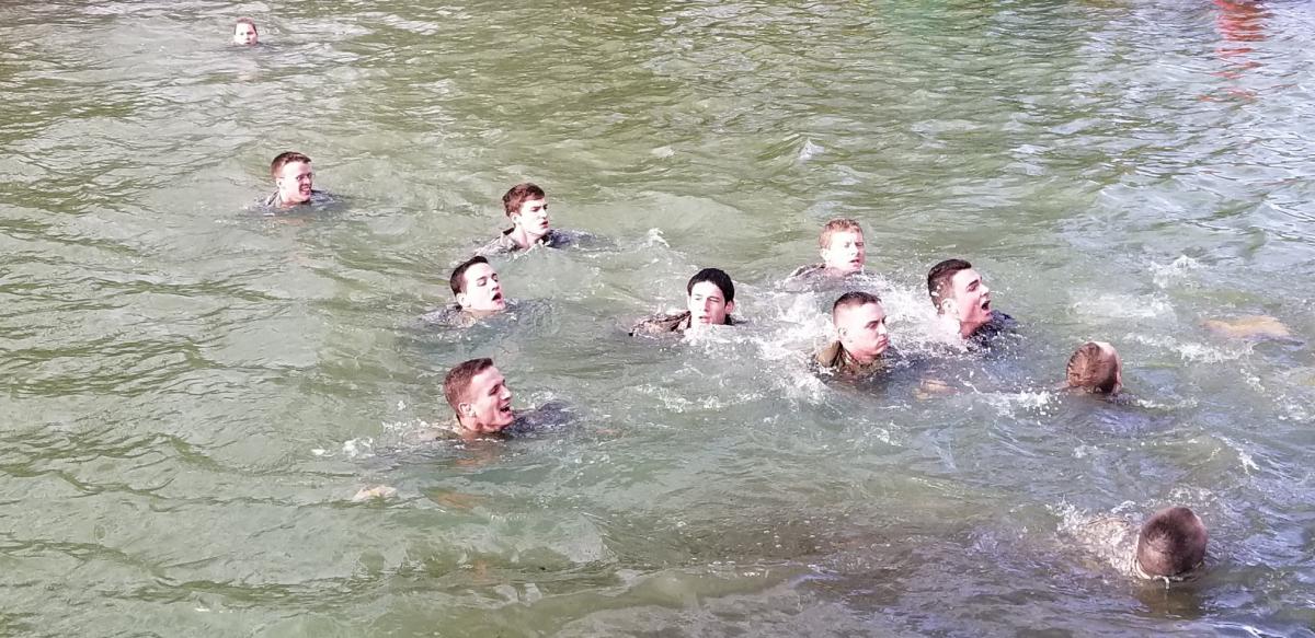 comando_gaggle_in_duck_pond_.jpeg