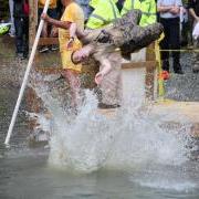 cadet action shot, jumping backwards into the duck pond