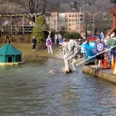 Pike Plunges